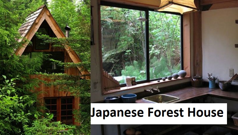 Japanese Forest House